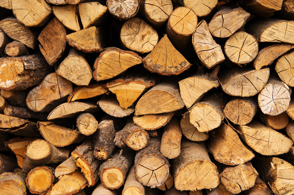 gỗ tần bì ash